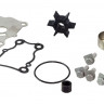 Ремкомплект помпы Yamaha 40, арт. 66TW007800_RM,          Recmar 