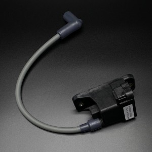 Катушка зажигания CDM MODULE ASSY (Quicksilver)