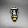 Термостат THERMOSTAT (Quicksilver), арт. 833072004, MERCURY Термостат THERMOSTAT (Quicksilver), арт. 833072004, MERCURY