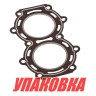 Прокладка под головку цилиндров Suzuki DT9.9-15, Recmar (упаковка из 5 шт.), арт. 1114193950_RM_pkg_5,          Recmar 
