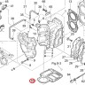 Прокладка под блок Tohatsu 9.9-18 (KACAWA), арт. 350-01303-0-TW,          KACAWA 
