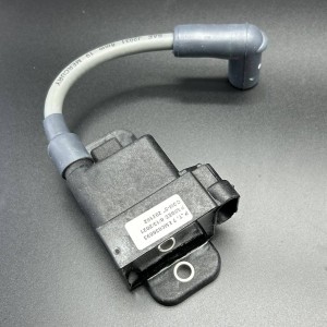 Катушка зажигания CDM MODULE ASSY (Quicksilver)