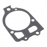Прокладка корпуса помпы Mercury 110-225 (Alpha I), арт. 27858524_RM,          Recmar 