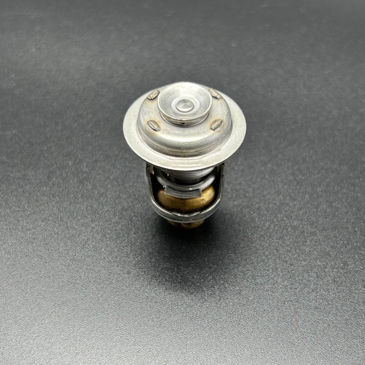 Термостат THERMOSTAT (Quicksilver), арт. 833072004,          MERCURY 