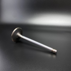 Клапан впускной VALVE-INTAKE (Quicksilver)