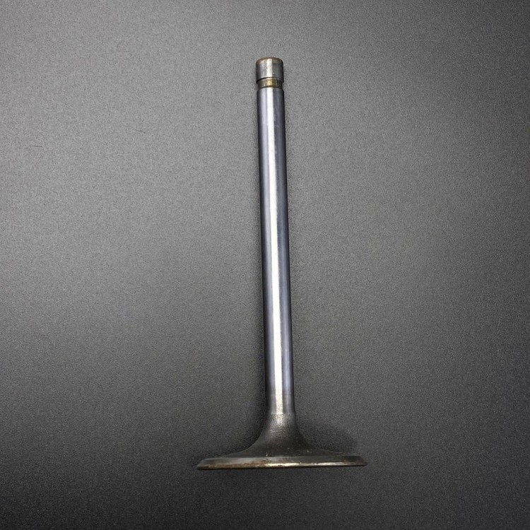 Клапан VALVE-INTAKE-STD (Quicksilver), арт. 809992,          MERCURY 