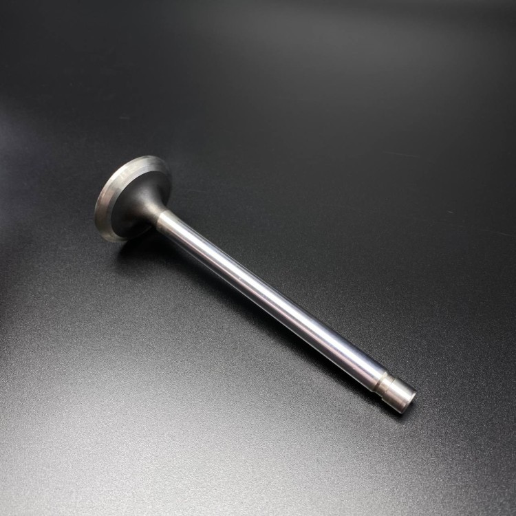 Клапан выпускной VALVE-EXH-STD (Quicksilver), арт. 8243171,          MERCURY 