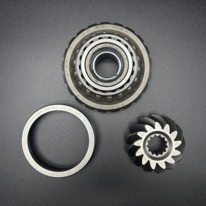 Комплект шестерен GEAR SET-21T (Quicksilver)