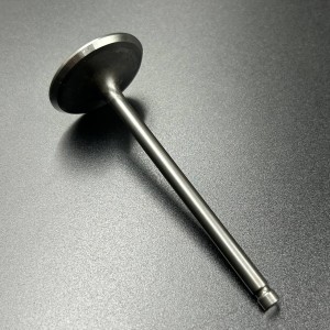 Клапан впускной Suzuki DF150-250 (Suzuki)