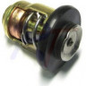 Термостат 50С Yamaha 200A , 6E5-12411-30-00, RTT-6E5-12411-30, арт. RTT-6E5-12411-30,          Rivertec 