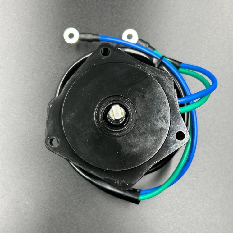 Мотор гидроподъемника Yamaha F50-70 (HSP), арт. 6CJ-43880-11-K,          ZHEJIANG HAISTRONTIUM 