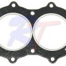 Прокладка головки цилиндров OMC 20/25/30/35(90-05), арт. RTT-0329419,          Rivertec 