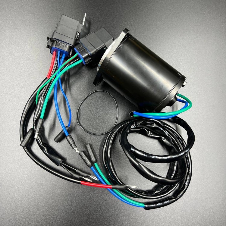 Мотор гидроподъемника Yamaha 115-200 6E5 (WUHU), арт. 6E5-43880-01-K,          WUHU 