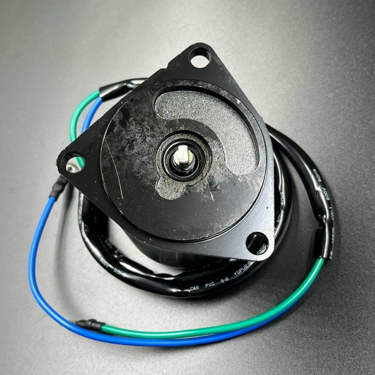 Мотор гидроподъемника Yamaha F200-300 (WUHU) (69J-43880-01), арт. 69J-43880-00-K,          WUHU 