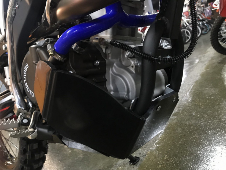 Regulmoto TE (ZSPR 172FMM-5) защита картера и прогрессии, арт. 613.06,          KTZ 