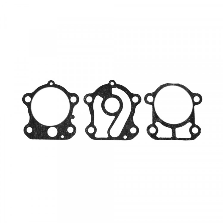 Комплект прокладок редуктора  для Yamaha E60, SK69D-W0001-20-ts, арт. SK69D-W0001-20-ts,          Skipper 