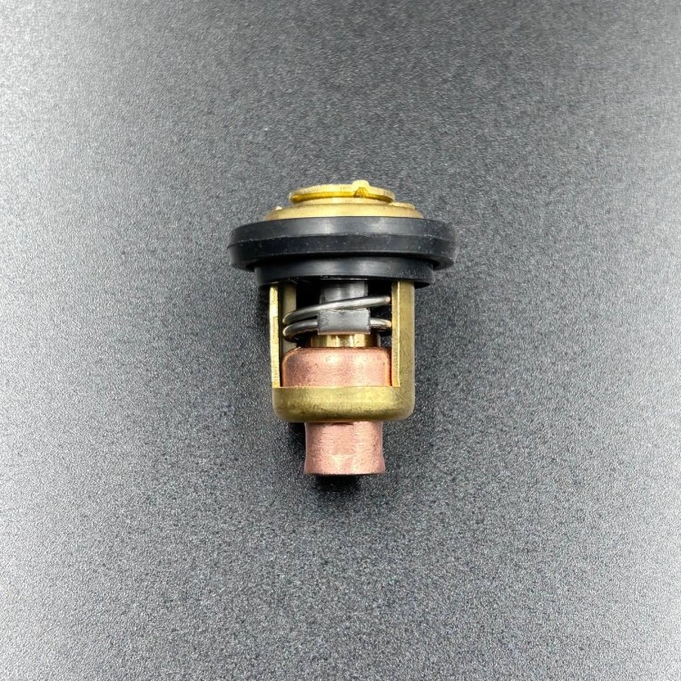 Термостат Yamaha 3-55 (YUELANG), арт. 6E5-12411-02-K,          TAIZHOU YUELANG POWER TECHNOLOGY 