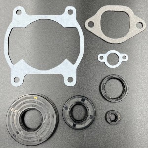 Ремкомплект двигателя  Yamaha Bravo 250 (1984-2011) (KINETIX)