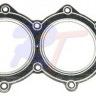 Прокладка головки цилиндров OMC 40/45/50/55/60(81-05), арт. RTT-0335359,          Rivertec 