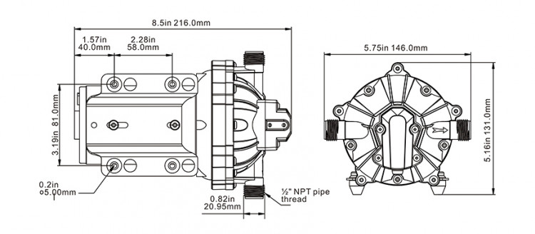 Пятикамерный мембранный насос 51 SERIES 15 л/мин, 12В, арт. SFDP1-040-060-51,          SeaFlo 