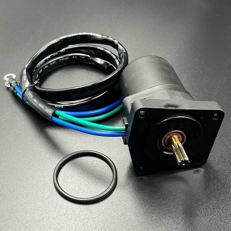 Мотор гидроподъемника Yamaha F25-40 (HSP), арт. 67C-43880-00-K,          ZHEJIANG HAISTRONTIUM 