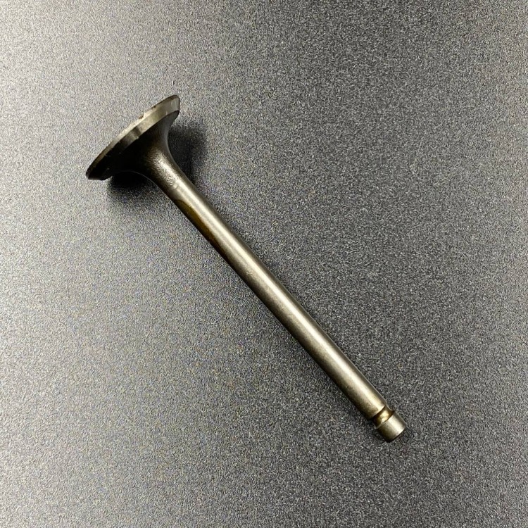 Клапан впускной Yamaha F9.9-20 (6AH-12111-00) (YUELANG), арт. 6AH-12111-00-K,          TAIZHOU YUELANG POWER TECHNOLOGY 