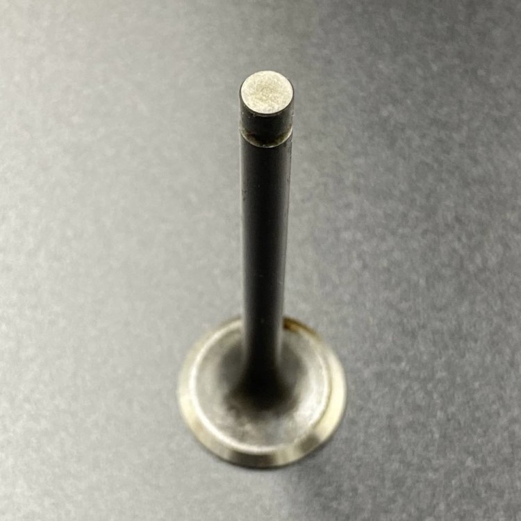 Клапан впускной Yamaha F9.9-20 (6AH-12111-00) (YUELANG), арт. 6AH-12111-00-K,          TAIZHOU YUELANG POWER TECHNOLOGY 