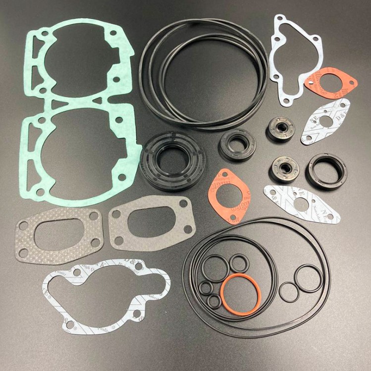 Ремкомплект ДВС BRP Ski-Doo 500 (96-00) (09-711212,420994228) (Rotax 494 LC) (PREMARINE), арт. 420994226,          PREMARINE 