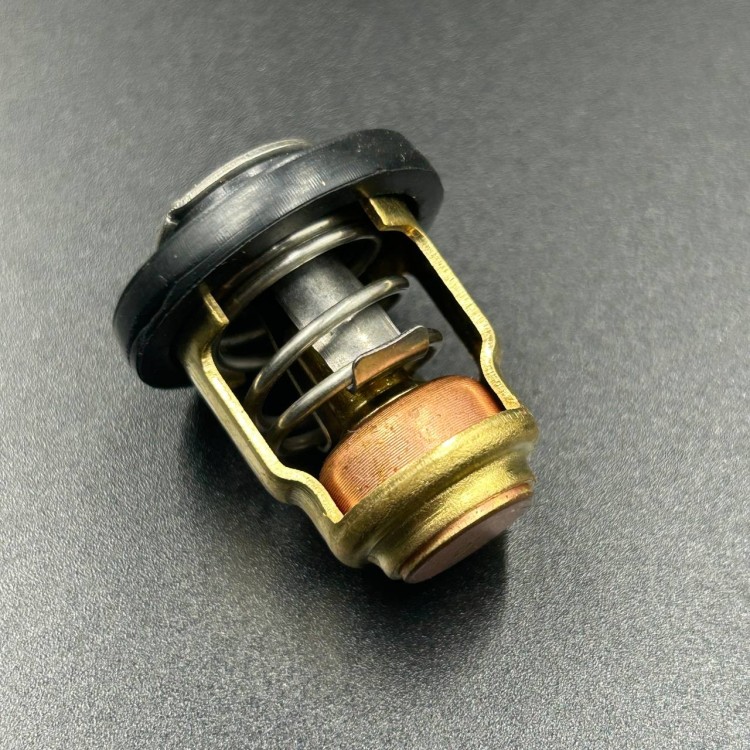 Термостат Yamaha 3-250 (Omax), арт. 6E5-12411-30-TW,          OMAX 