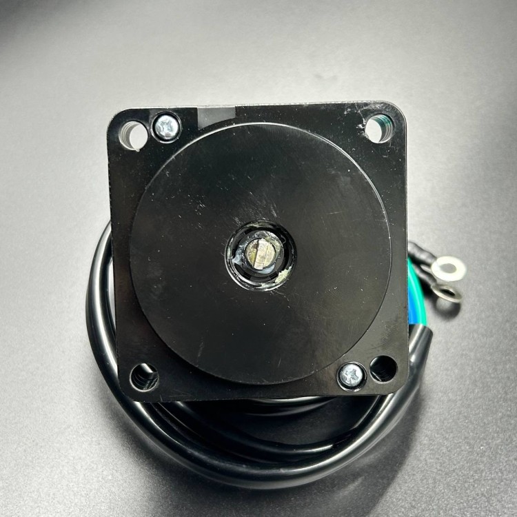 Мотор гидроподъемника Yamaha 115-225, Honda BF75-150, Suzuki DF100-140(A) (HSP), арт. 64E-43880-00-K,          ZHEJIANG HAISTRONTIUM 