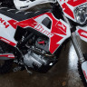 KTZ Защита двигателя мотоцикла PitonMoto MX4 PR 250 (172 FMM балансировочный вал) 2023 