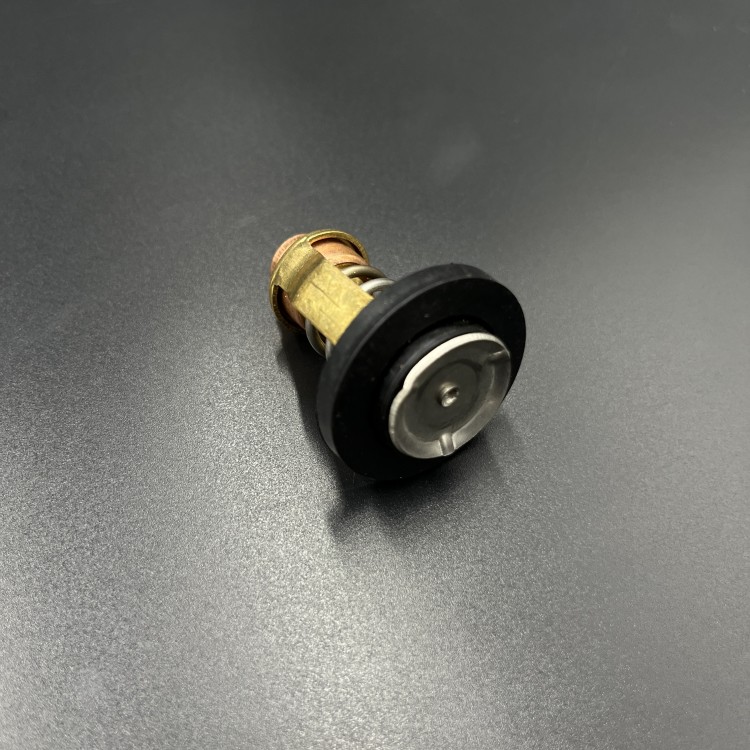 Термостат Yamaha F115 (Osaka), арт. 60V-12411-00-TW,          OSAKA 