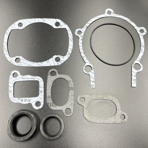 Ремкомплект двигателя SKI-DOO 227,280,300 (420992068, 420992069, 09-711195) (Sinera)