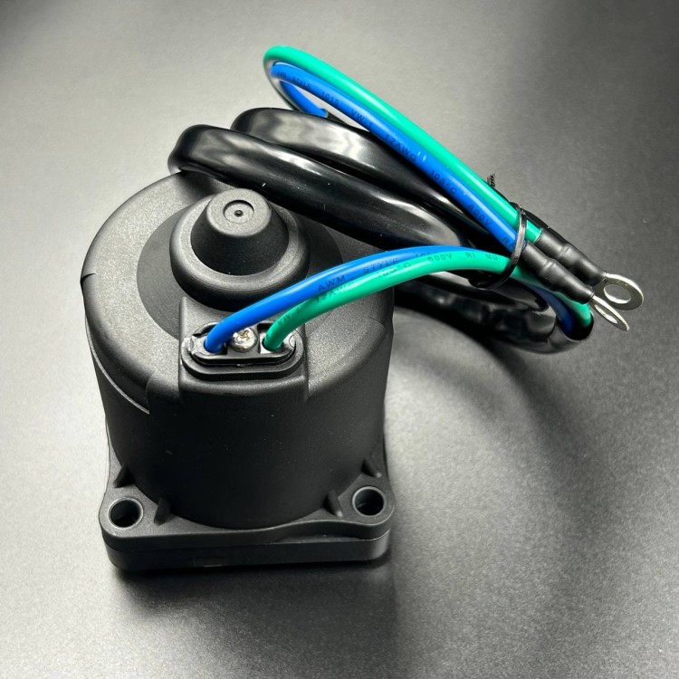 Мотор гидроподъемника Suzuki DF90-140/Yamaha (64E-43880-00; 67H-43880-00) (HSP), арт. 38100-92J02-K,          ZHEJIANG HAISTRONTIUM 